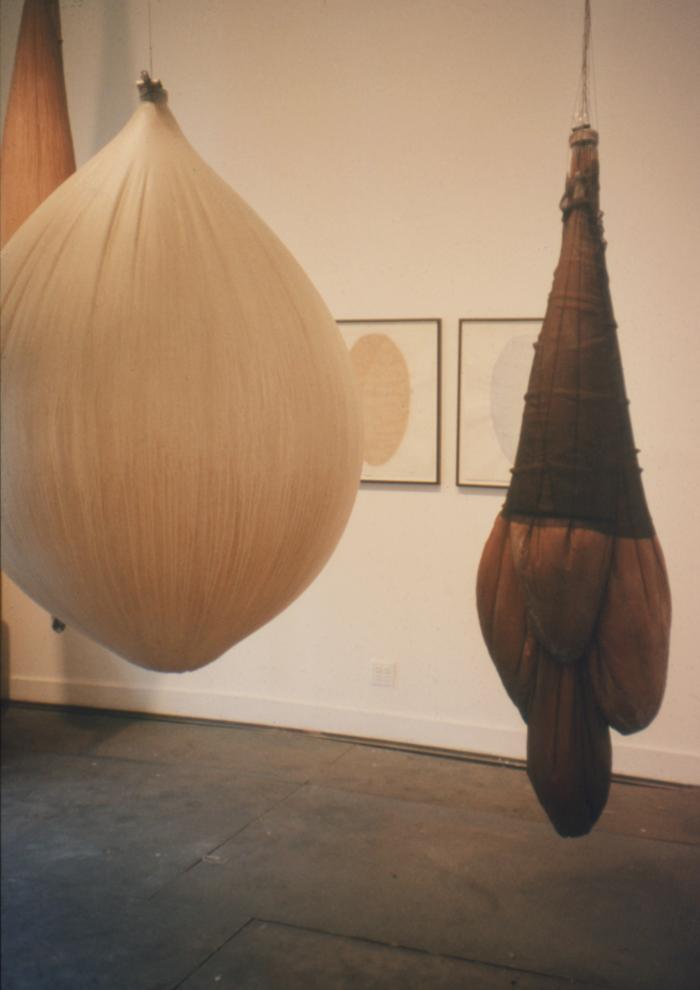 Lillian Maurer, Installation