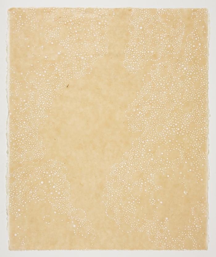 Littoral drift 2 white