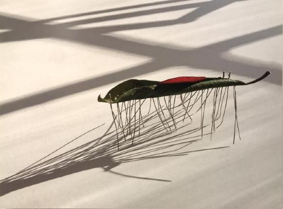 100 Works on Paper Benefit Exhibition_2019