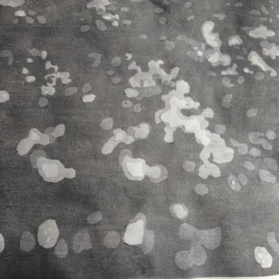Dappled Light III