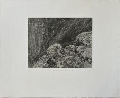 Rocks and Grasses, Isle Royale National Park, 1999-1, edition: 4/15