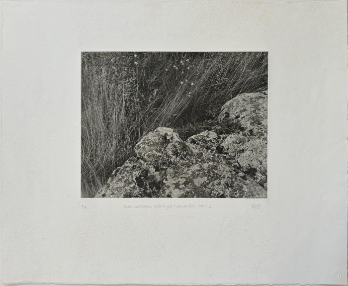 Rocks and Grasses, Isle Royale National Park, 1999-1, edition: 4/15