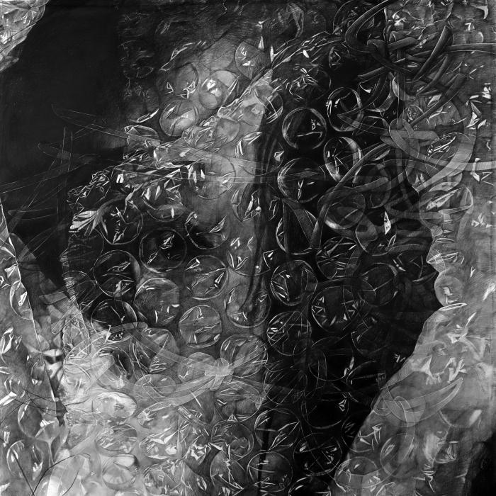Mayuko Ono Gray: Artist's Talk & Opening Reception