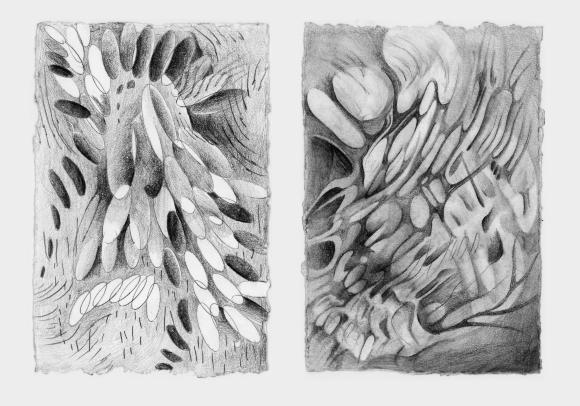 Kentler International Drawing Space : exhibition : NEW