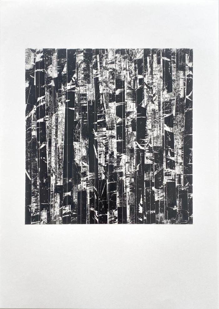 Opening June 14: NEW DRAWINGS Juried Exhibition