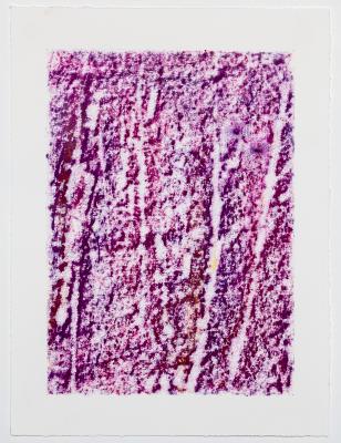 Grounded (Purple, Small) 