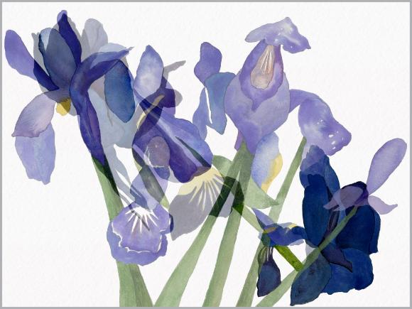 100 Works on Paper BENEFIT Exhibition, 2025