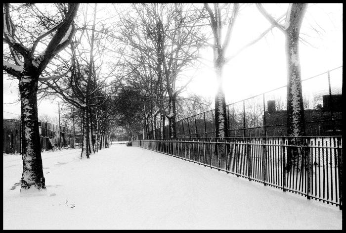 Snow, Red Hook Fields